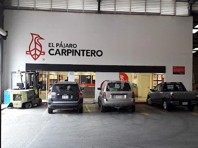 El Pájaro Carpintero